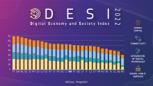 2022 m. DESI statistiniai duomenys