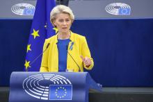 Ursula von der Leyen prie pakylos